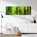 Obraz na płótnie 120x40 - Współistnienie z naturą - drzewa, las