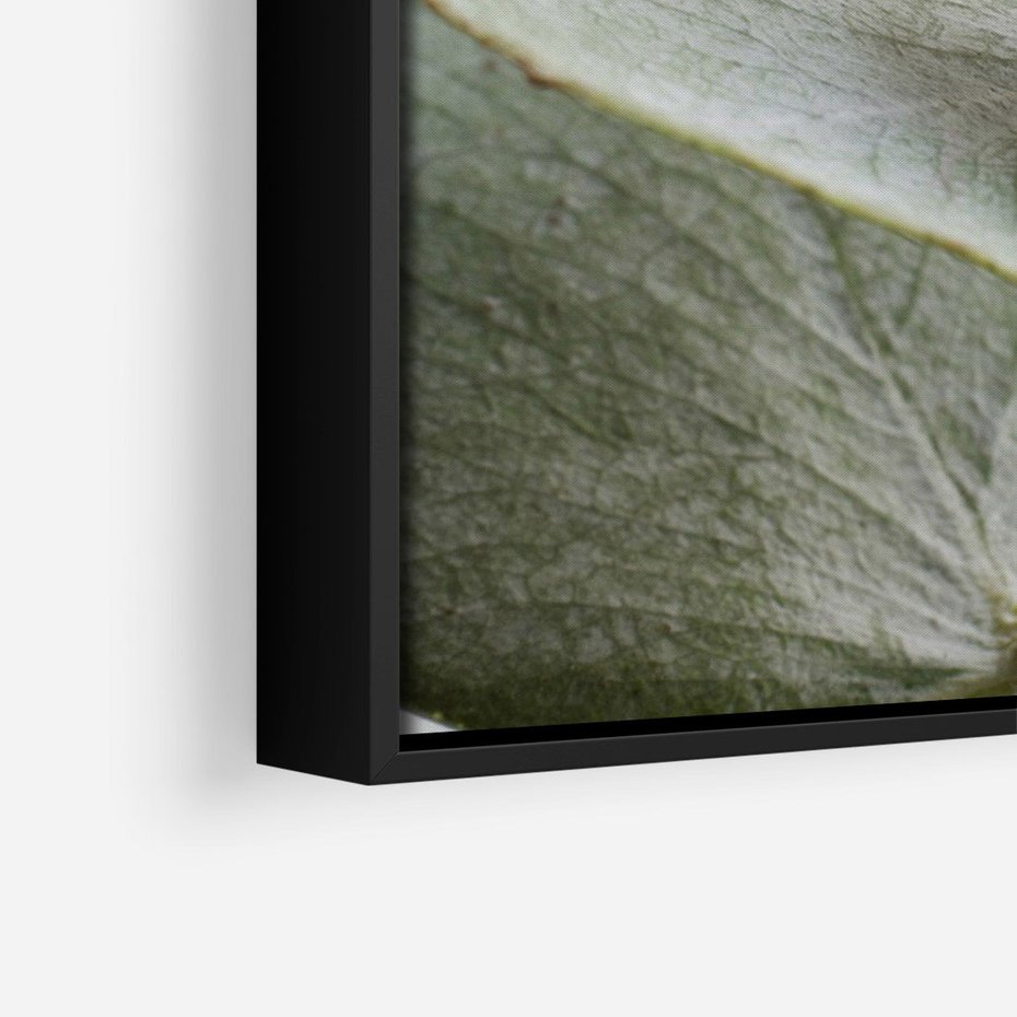 Obraz w ramie 50x70 - Eukaliptusowa zieleń - eukaliptus, zielone - rama czarna