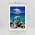 Plakat w ramie 50x70 - Podwodna rafa koralowa: kolorowy oceanowy świat - rafa, koralowa - rama biała