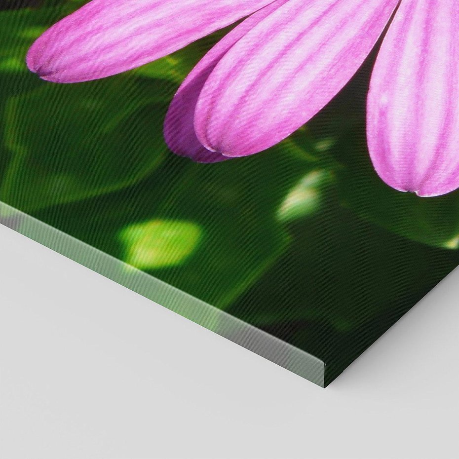 Obraz na płótnie 140x70 - Kwiatowy Dotyk - kwiat, kwiaty