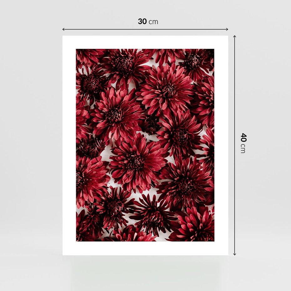 Plakat bez ramy 30x40 - Energia Kwiatów - czerwone kwiaty, kompozycja