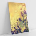 Obraz na płótnie 50x70 - Natura w pełnym rozkwicie - łąka, natura