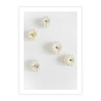 Plakat bez ramy 30x40 - Biała Jesień: Dynie na Jasnym Tle - białe dynie, białe tło