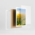 Plakat w ramie 50x70 - Idylla na łące słoneczników - łąka, słoneczniki - rama biała