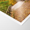 Plakat bez ramy 30x40 - Spacer Ścieżką w Las - ścieżka, spacer