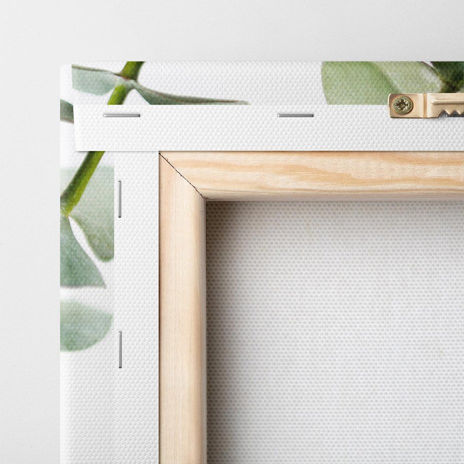 Obraz na płótnie 120x60 - Zielone eukaliptusy - eukaliptus, liście