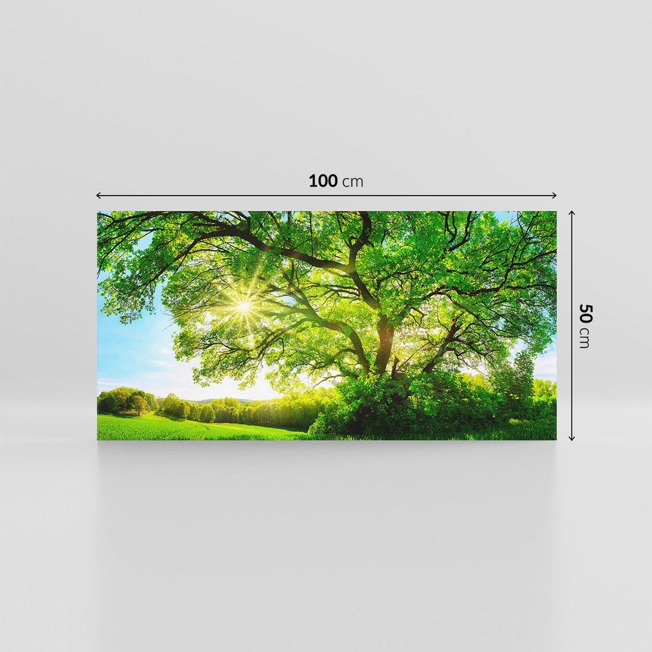 Obraz na płótnie 100x50 - Natura w pełnym rozkwicie - drzewo, niebo