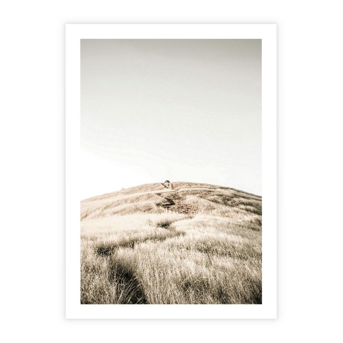 Plakat bez ramy 21x30 - Wzgórze w Odcieniach Sepii - wzgórze, trawy