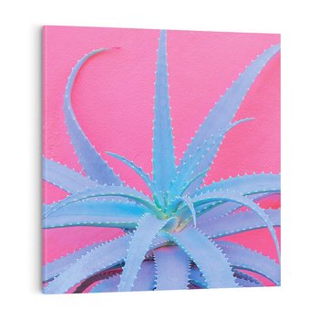 Obraz na płótnie 50x50 - Piękno Pustyni - kaktusy, liście