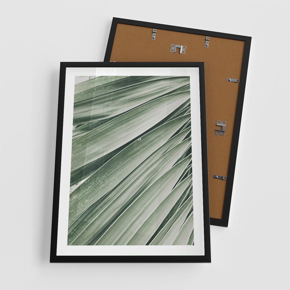 Plakat w ramie 50x70 - Tropikalna Oaza - zielony liść palmy, zieleń - rama czarna
