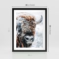 Plakat w ramie 40x50 - Żubr w Krainie Śniegu - żubr, zima - rama czarna