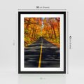 Plakat w ramie 30x40 - Droga przez jesienny las - droga, las - rama czarna