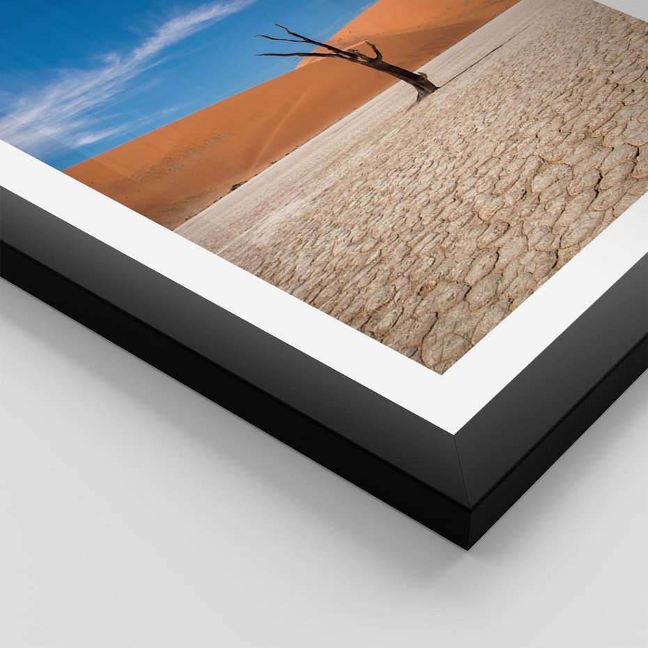 Plakat w ramie 30x40 - Słońce i Suche Drzewo - pustynia, suche - rama czarna