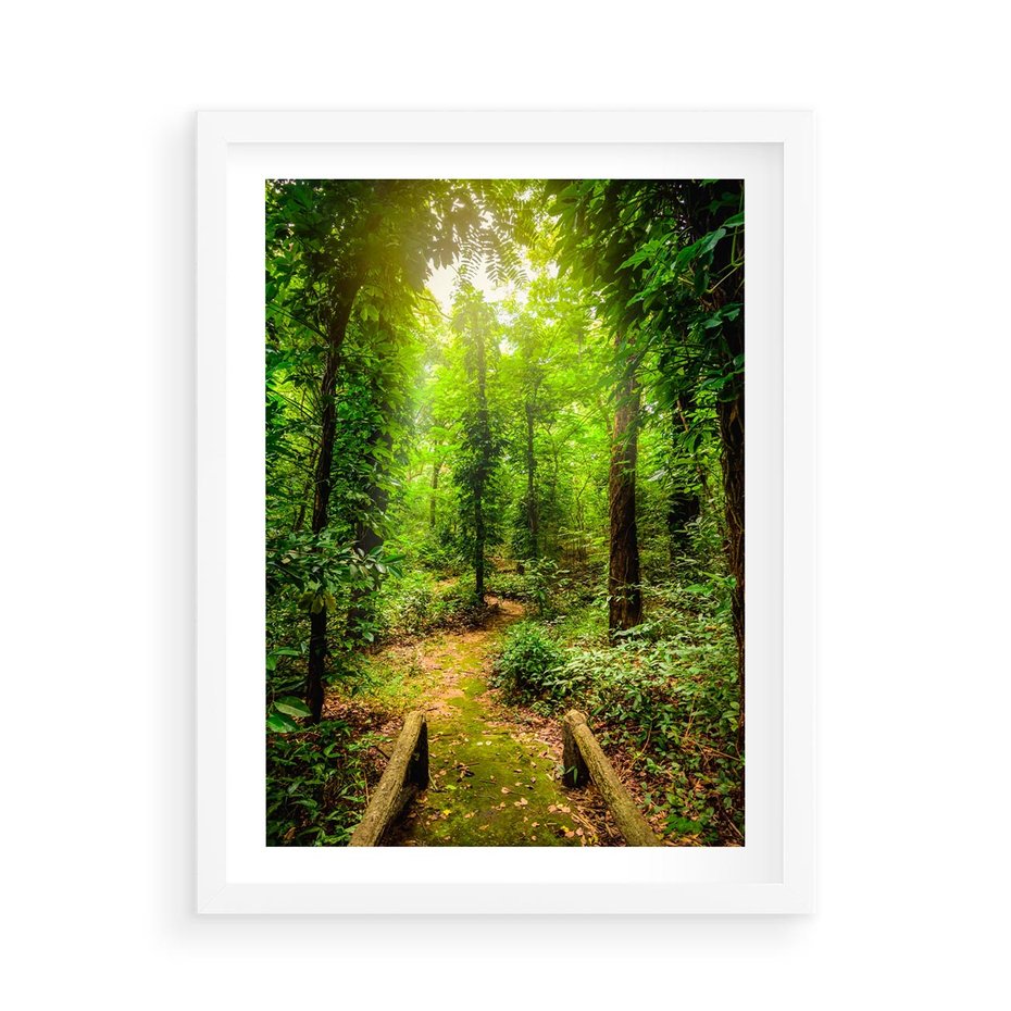 Plakat w ramie 50x70 - Współistnienie z naturą - drzewa, las - rama biała