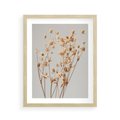 Plakat w ramie 40x50 - Delikatne gipsówki - gipsówka, suche - rama drewno