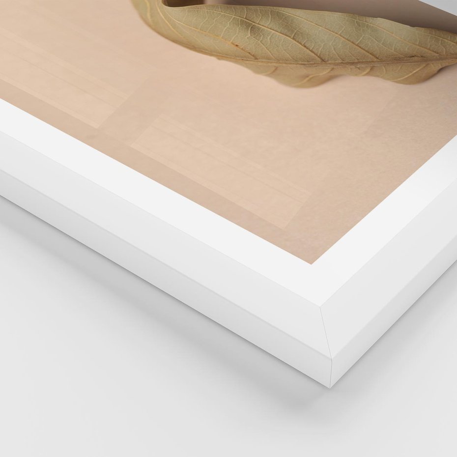 Plakat w ramie 50x70 - Boho suszone liście - suszony, liść - rama biała