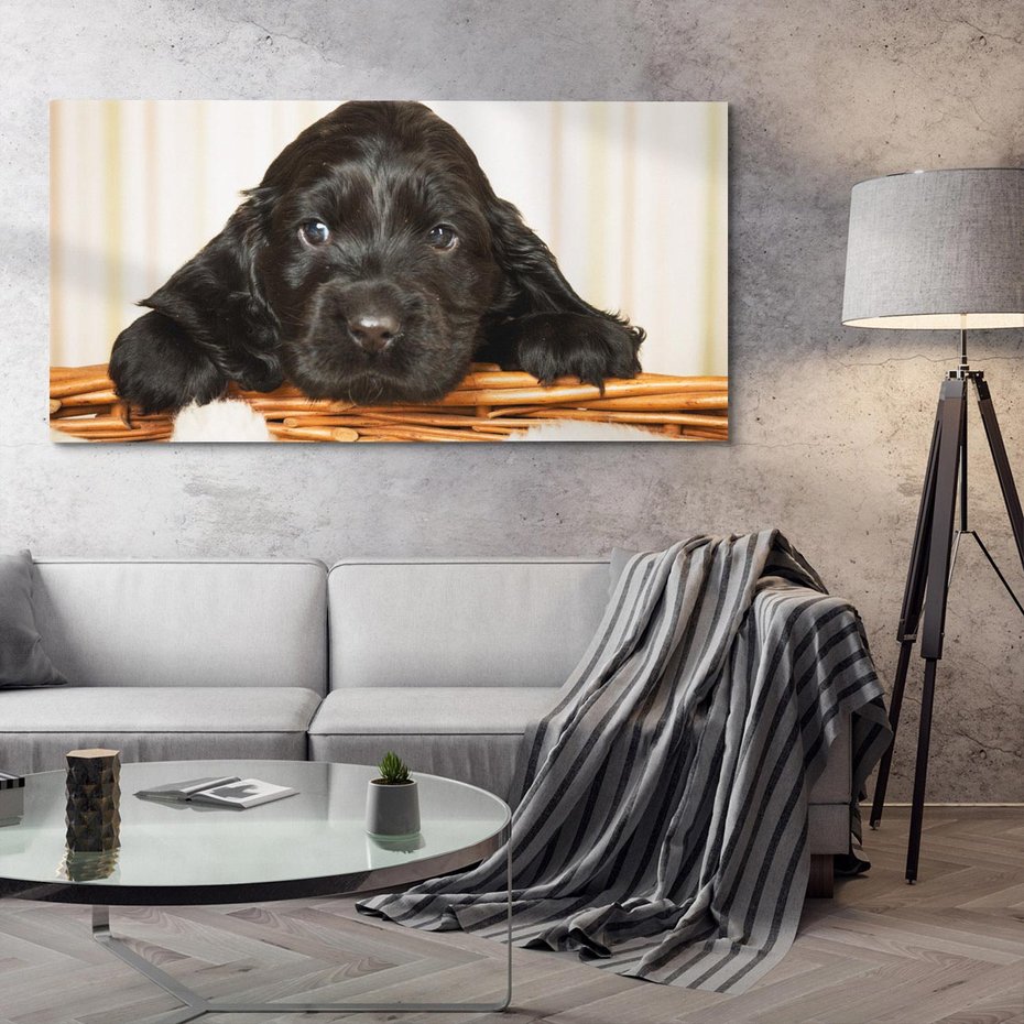 Obraz na płótnie 140x70 - Uroczy szczeniak w akcji - piesek, szczeniak