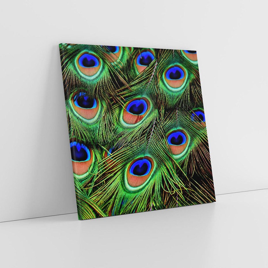 Obraz na płótnie 50x50 - Pawi Ogon - Piękno i Wspaniałość - paw, pióra