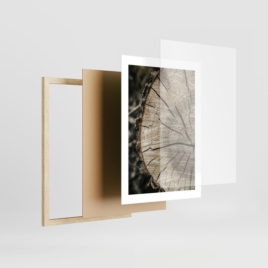 Plakat w ramie 30x40 - Wnętrze Natury - pień, przecięty pień - rama drewno