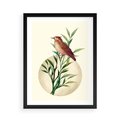 Plakat w ramie 50x70 - Rozkwitająca Delikatność - japońska sztuka, ptak - rama czarna
