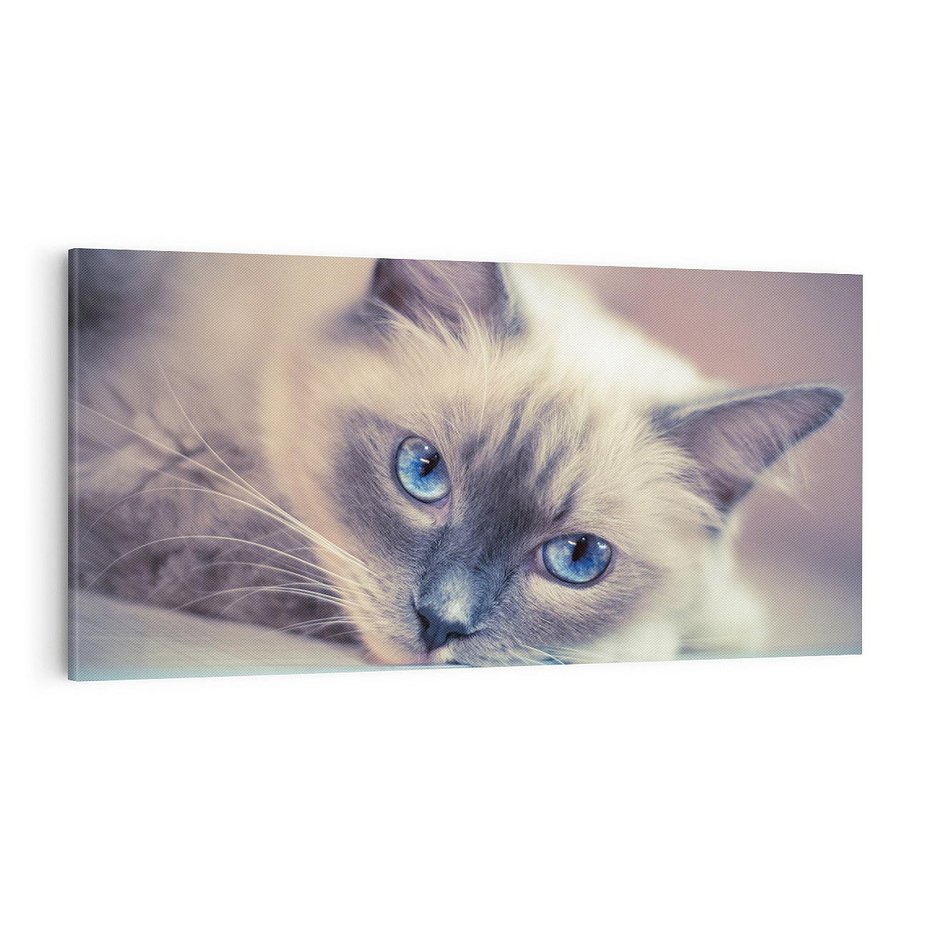 Obraz na płótnie 100x50 - Kotek w artystycznym stylu - kot, kotek