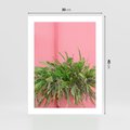 Plakat bez ramy 30x40 - Fotografia Rośliny z Różowym Tłem - fotografia, zielona roślina na tle różwj ściany