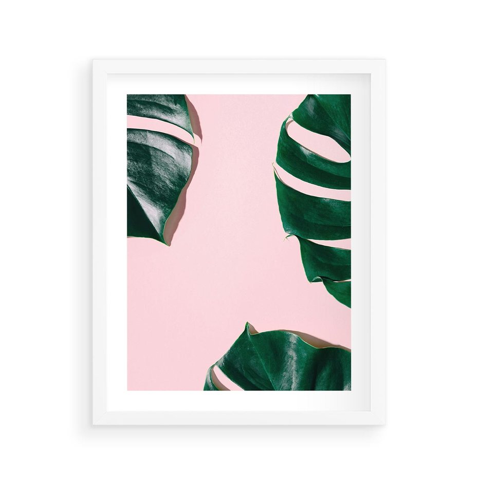 Plakat w ramie 40x50 - Minimalizm Natury - minimalizm, liście monstery - rama biała