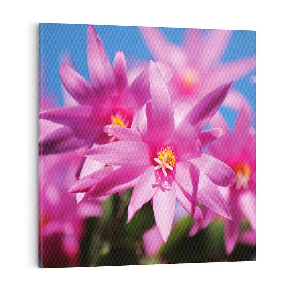 Obraz na płótnie 70x70 - Kwiatowy urok - kwiat, kwiaty