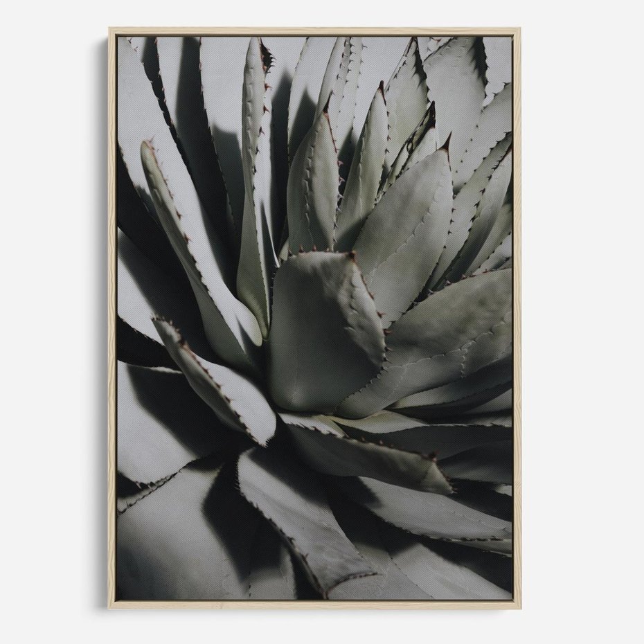 Obraz w ramie 80x120 - Sukulenty wśród kaktusów - sukulenty, kaktusy - rama drewno