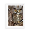 Plakat w ramie 50x70 - Tajemniczy Stróż - sowa, las - rama biała