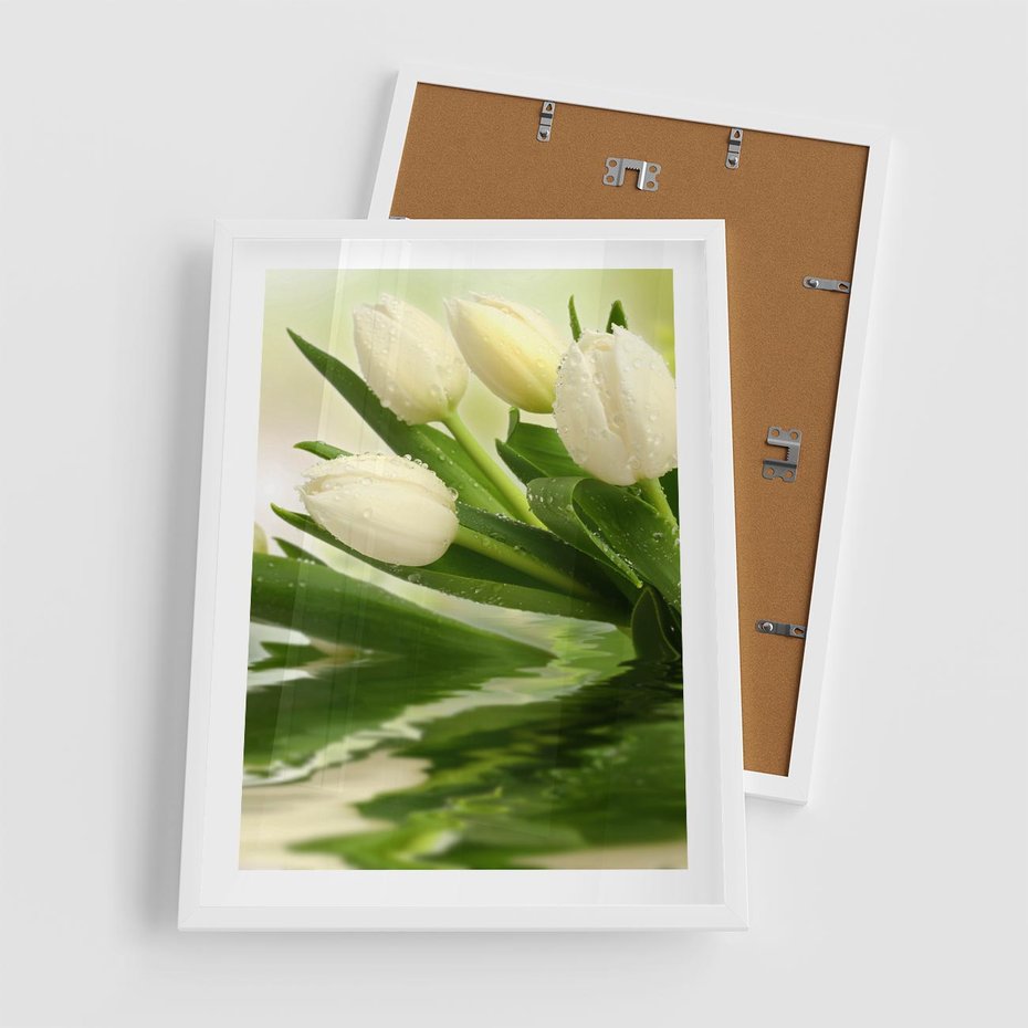 Plakat w ramie 50x70 - Białe Piękno - białe, tulipany - rama biała