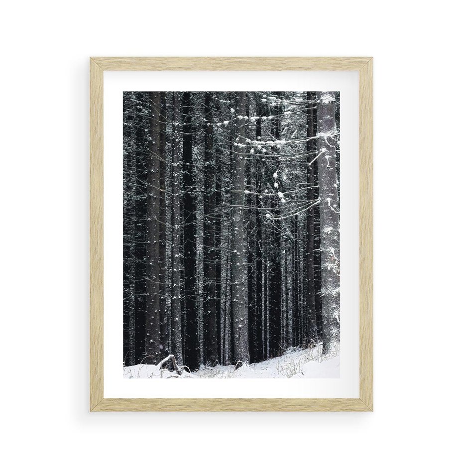 Plakat w ramie 40x50 - Leśna Cisza: Malowniczy Pejzaż Zimą - las zimą, ośnieżone pnie drzew - rama drewno