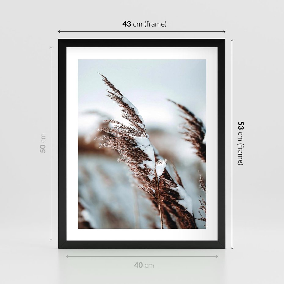 Plakat w ramie 40x50 - Zima na Suchych Trawach - suche trawy, śnieg wysokich na trawach - rama czarna