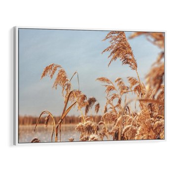 Obraz w ramie 70x50 - Wyraz Stylu - trawy, boho - rama biała