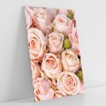 Obraz na płótnie 80x120 - Delikatność róż - piękno natury - róże, kwiaty