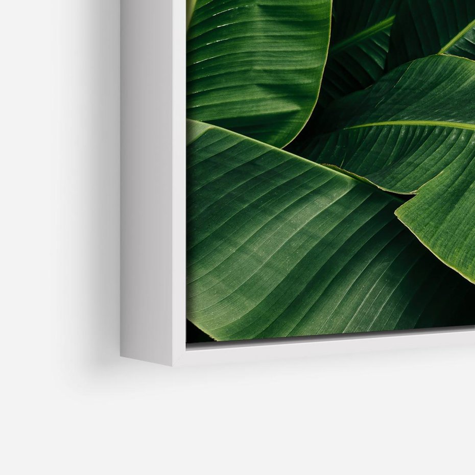 Obraz w ramie 80x80 - Zaklęta roślinna ekspresja - liście bananowca, gęsto ułożone - rama biała