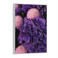 Obraz w ramie 80x120 - Fioletowa hortensja - kwiaty, hortensja - rama biała