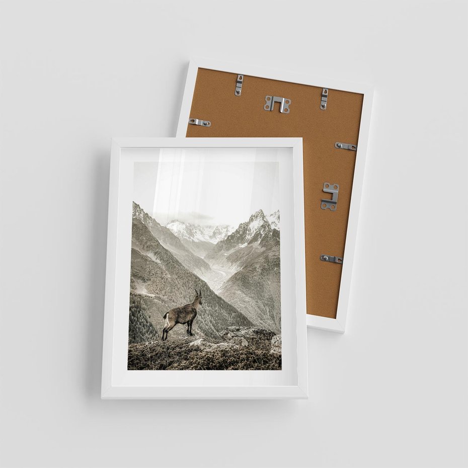 Plakat w ramie 30x40 - Dzikie Piękno: Kozica w Malowniczym Górskim Scenerii - kozica, góry - rama biała