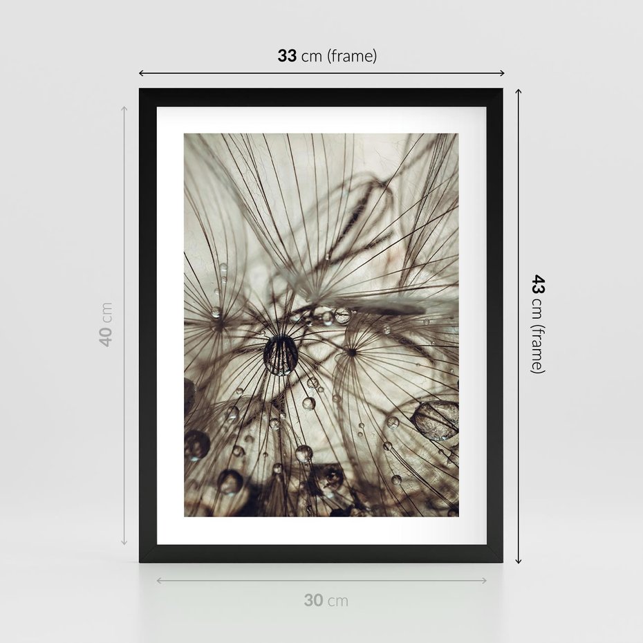 Plakat w ramie 30x40 - Lekkie dmuchawce - dmuchawce, krople - rama czarna
