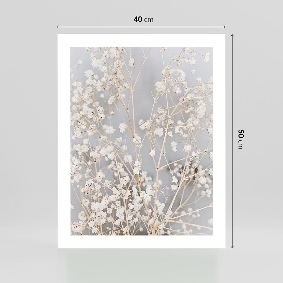 Plakat bez ramy 40x50 - Białe Drobne Kwiaty - gipsówka, białe drobne kwiatki