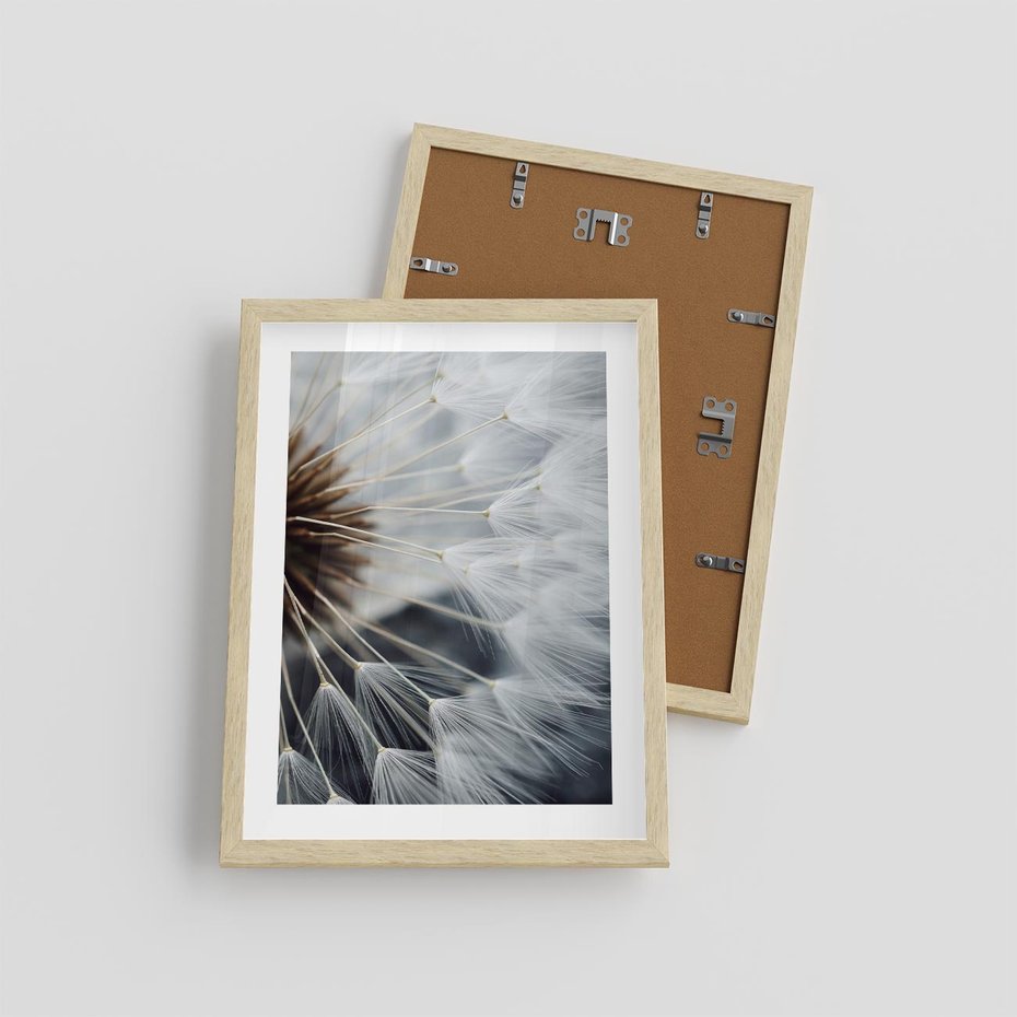 Plakat w ramie 30x40 - Dmuchawce w Naturze - dmuchawiec, zbliżenie - rama drewno