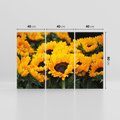 Obraz na płótnie 120x80 - promień słoneczny w kwiatowym świecie - słoneczniki, kwiat