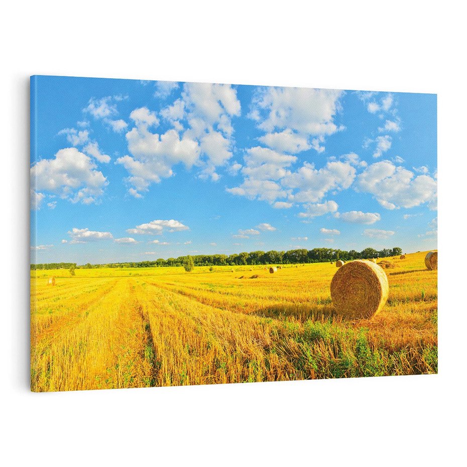 Obraz na płótnie 100x70 - Urok rolnictwa: Trawa w pełnym rozkwicie - rolnictwo, trawa