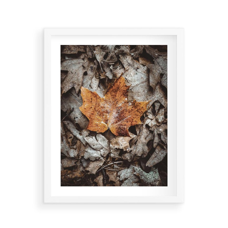 Plakat w ramie 40x50 - Jesienne Czarowanie - suchy liść, żółty - rama biała