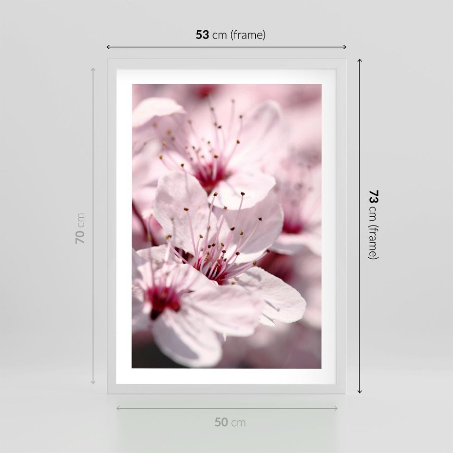 Plakat w ramie 50x70 - Kwitnąca Wiśnia - kwiaty, kwitnąca - rama biała