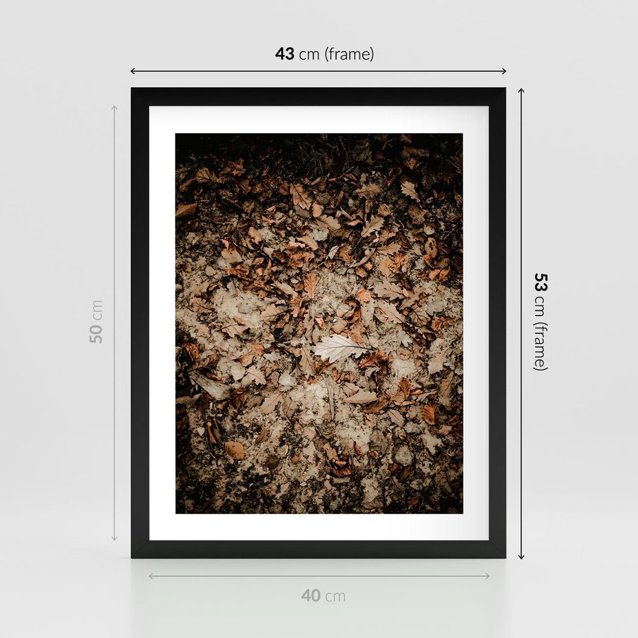 Plakat w ramie 40x50 - Suchość Liści w Brązowych Tonach - suche liście jesień brąz - rama czarna