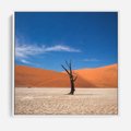 Obraz w ramie 50x50 - Słońce i Suche Drzewo - pustynia, suche - rama biała