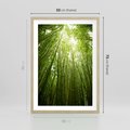 Plakat w ramie 50x70 - Siła Natury - drzewa, las - rama drewno