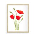 Plakat w ramie 50x70 - Pola maków w pełnym kolorze - maki, kwiaty - rama drewno