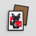 Plakat w ramie 30x40 - Boksujący mops - pies - boks, mops - rama czarna
